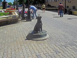 Памятник-копилка бездомной собаке в Оренбурге