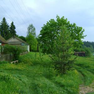  Деревня Висящево
